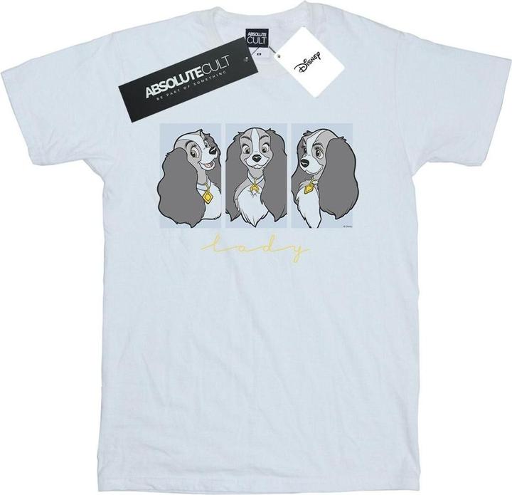 Actual product image Disney Womens/Ladies Lady And The Tramp Lady Frames Cotton Boyfriend T-Shirt (XXL)