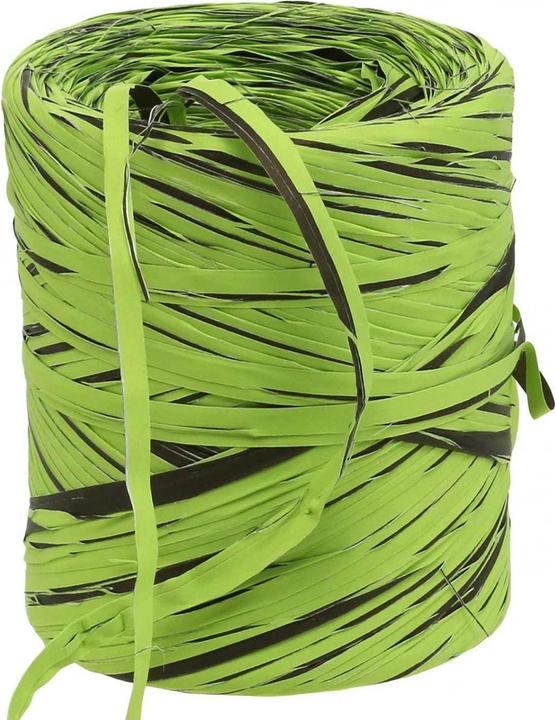 Actual product image Viana Dekoband Raffia in Grün und Braun Kunstbast Geschenkband Frühjahr
