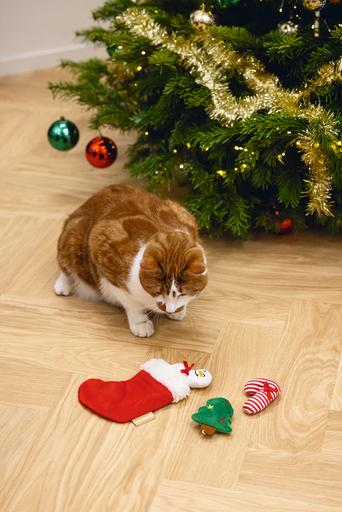 Produktbild Beeztees Weihnachtsspielzeug für Katzen (Plüschspielzeug Katze)