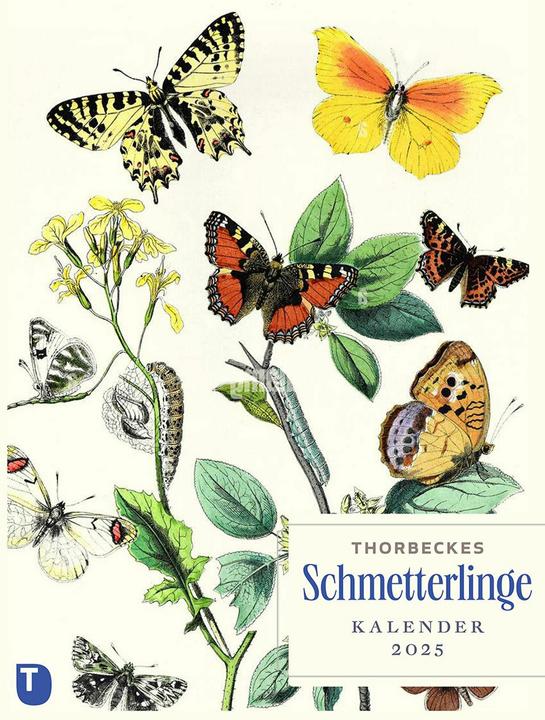Produktbild Thorbeckes Schmetterlinge-Kalender 2025 (24 x 32 cm, Deutsch)