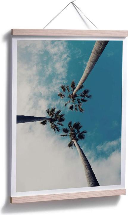 Produktbild Trenddeko Palmen 03 (30 x 40 cm)