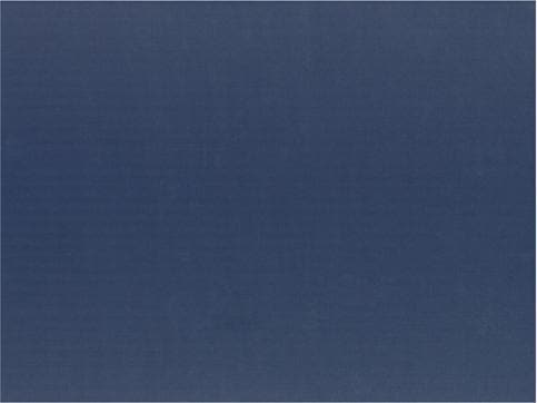 Papstar Placemats (100 x, 30 x 40 cm)