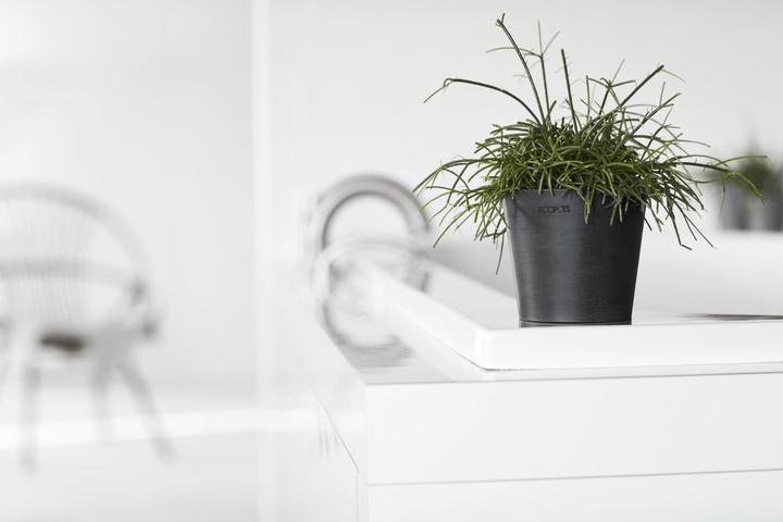 Actual product image Ecopots Amsterdam Mini (10.50 cm)