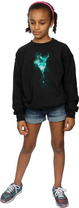 Image du produit - Sweat STAG PATRONUS MIST - Fille (116)