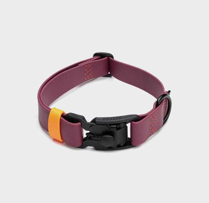 Actual product image Cloud 7 Ipanema BioThane (S, Dog, General)