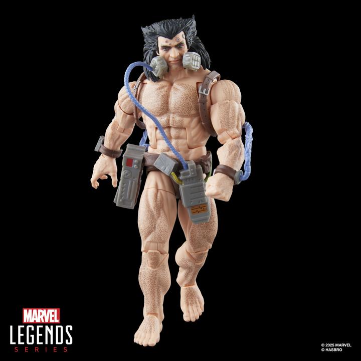 Produktbild Legends Series Wolverine (Weapon X), X-Men Action-Figur