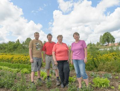 Produktbild Sonnentor Hanfblätter Tee (40 g)