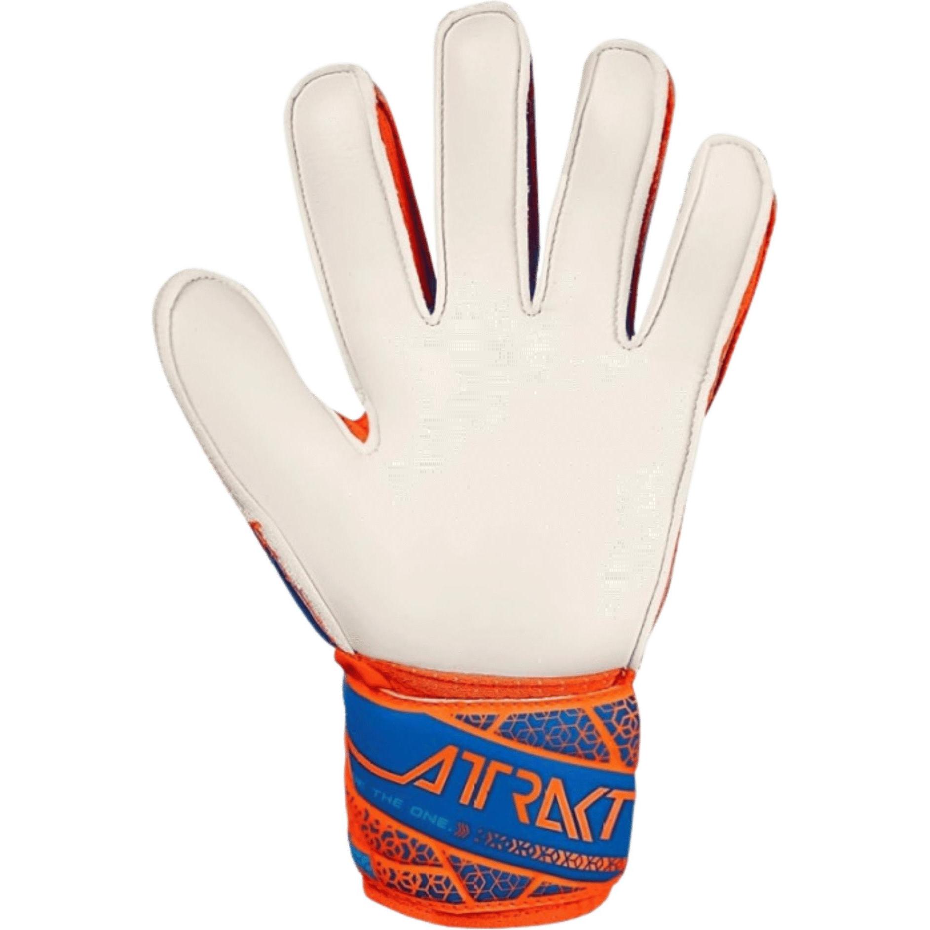 Thumbnail - Reusch, Handschuhe, Attrakt Solid, Schwarz, (8.5)