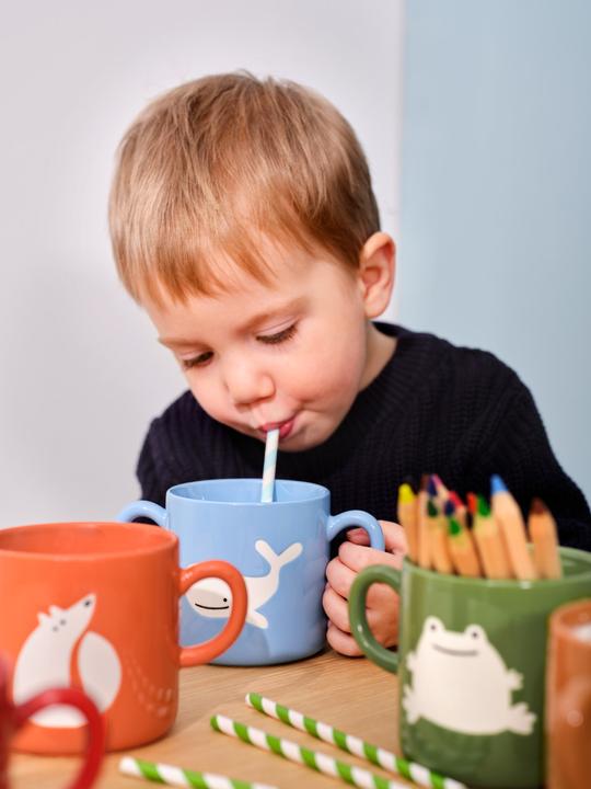 Actual product image ASA Selection Buddies mug fox 0.25l