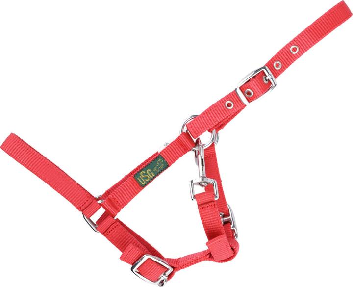 Immagine prodotto Usg Cavezza per puledro