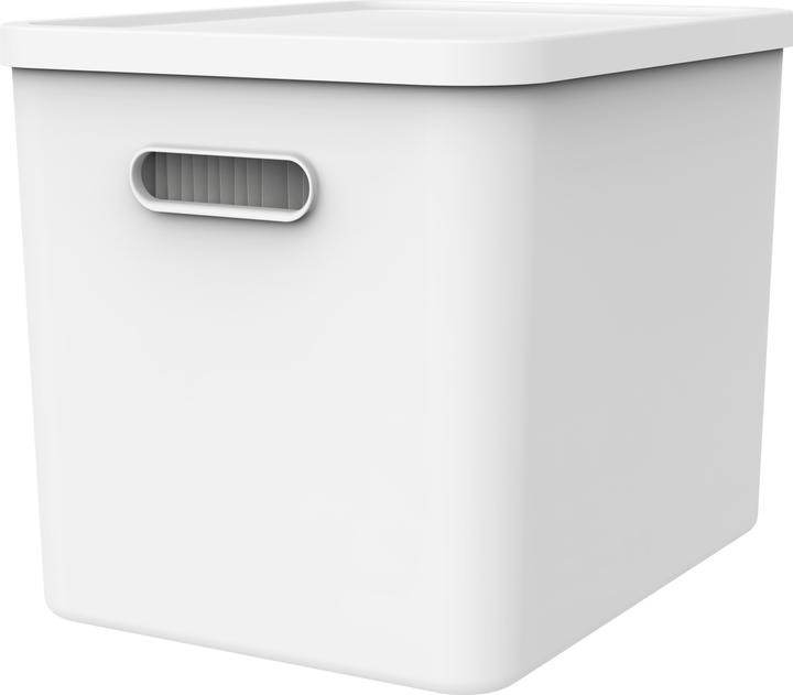 Rotho Archive box My Paper Basic (A4)