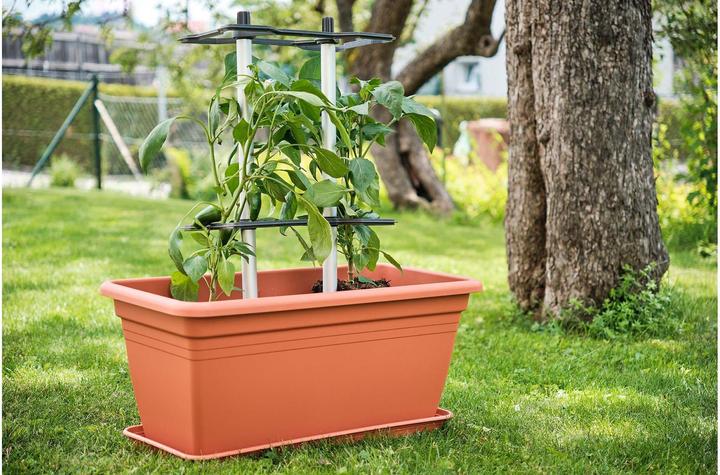Immagine prodotto Gusta Garden CHILI BUDDY supporto per peperoncini e peperoni, set di 3 pezzi argento (32.20 cm, 22.20 cm)