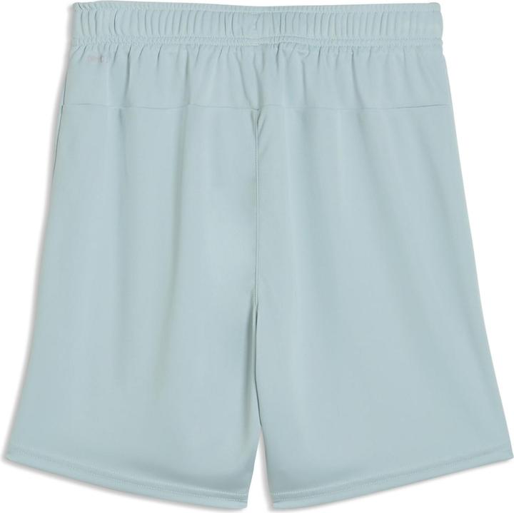 Produktbild Puma teamGOAL Shorts Jr (128)