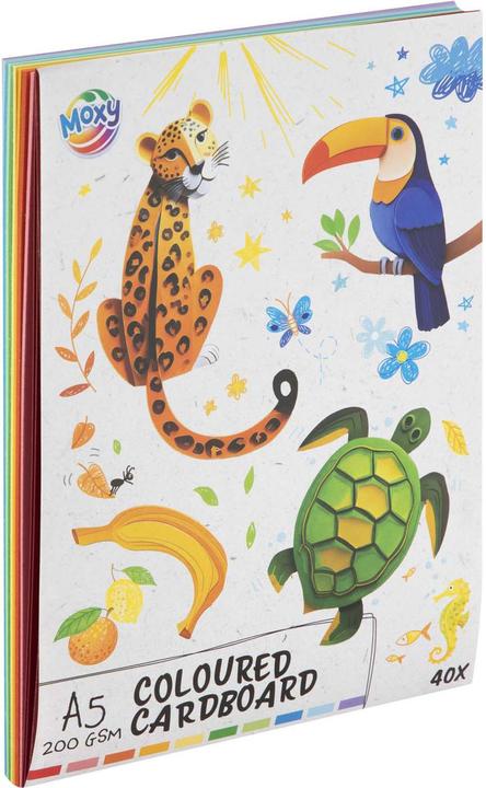 Actual product image Grafix Farbkarton A5, 40 Blatt 10 Farben (40 x)