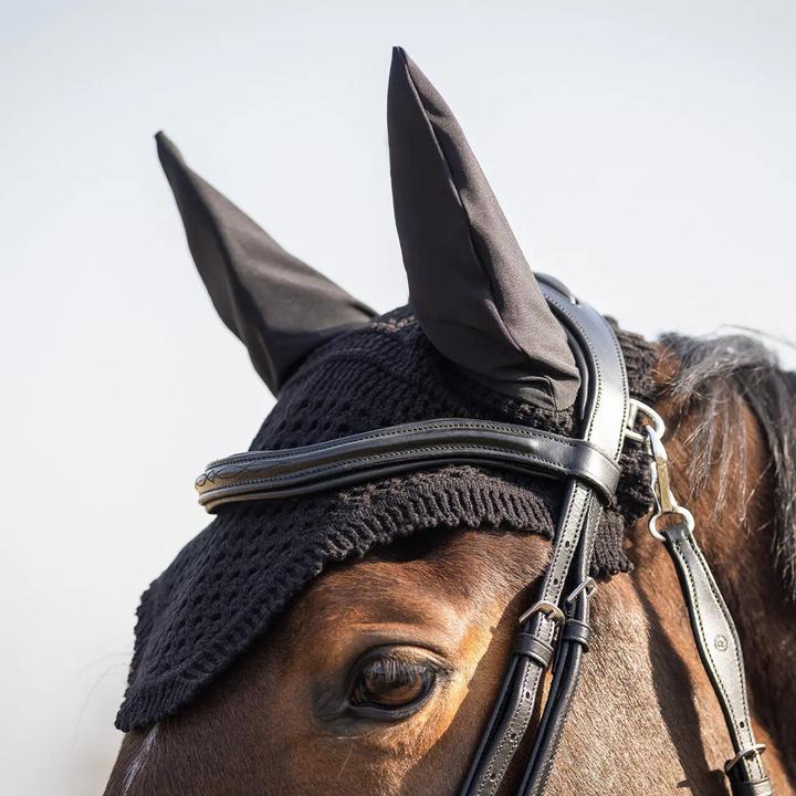 Actual product image Qhp Salerno