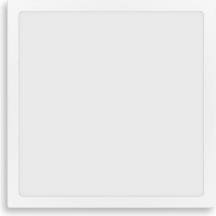 Actual product image Philips Slim Surface DL252 (2000 lm)