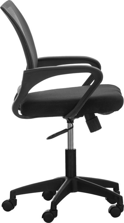 Immagine prodotto CLP Auburn