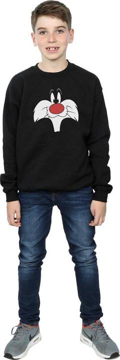 Actual product image Looney Tunes Boys Sylvester Big Face Sweatshirt (152, 158)