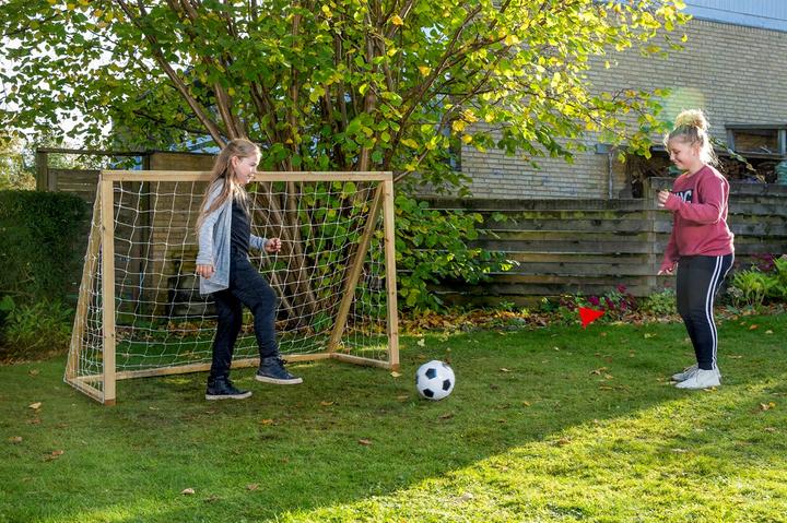 Produktbild Euro Play Homegoal Classic Junior