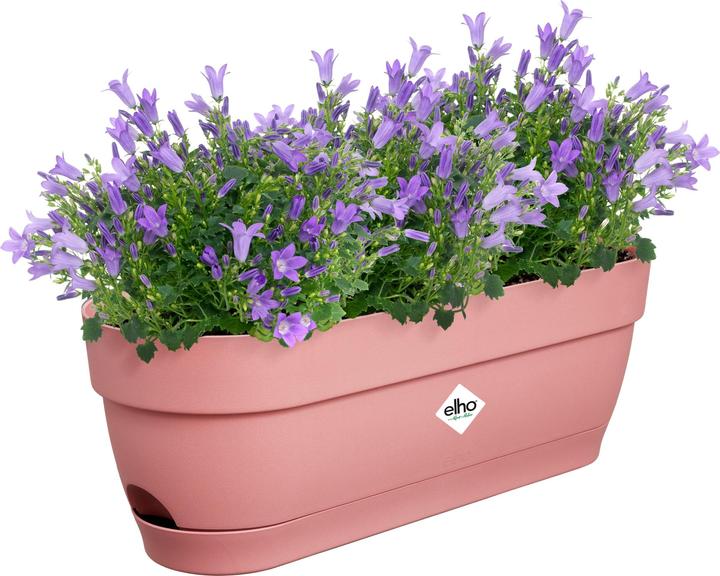 Image du produit Elho Vibia Campana (18.20 cm)