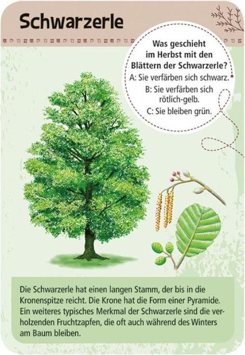 Image du produit MOS09716 - Expédition nature "50 arbres domestiques", pour 1 ou plusieurs joueurs, à partir de 10 (Allemand)