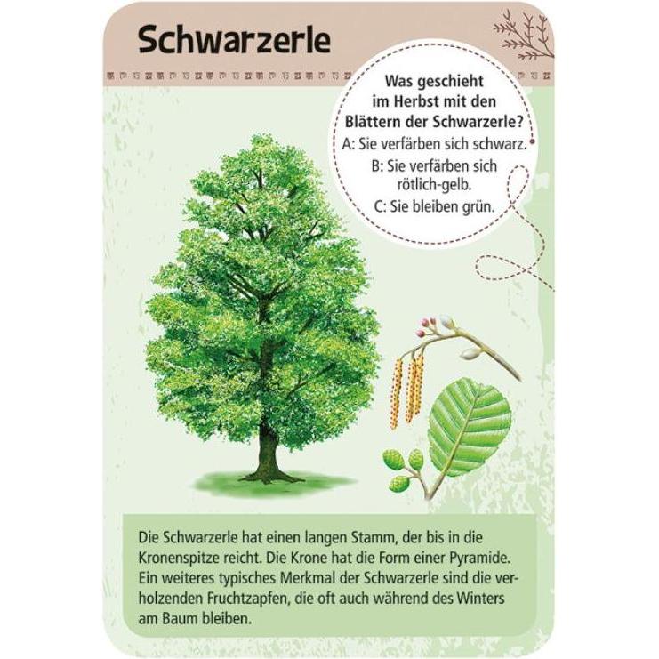 Thumbnail - Moses MOS09716 - Expedition Natur "50 heimische Bäume", für 1 oder mehr Spieler, ab 10 Jahren (DE-Ausgabe) (Deutsch)