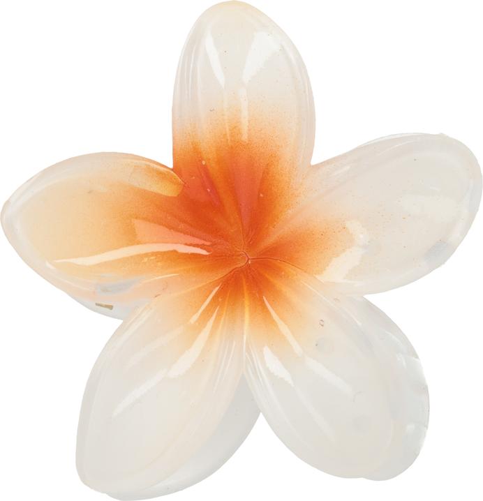 Produktbild Trisa Fashion Frangipani Set Haarklammern & Clip Orange 5 Stk (5 Stk.)