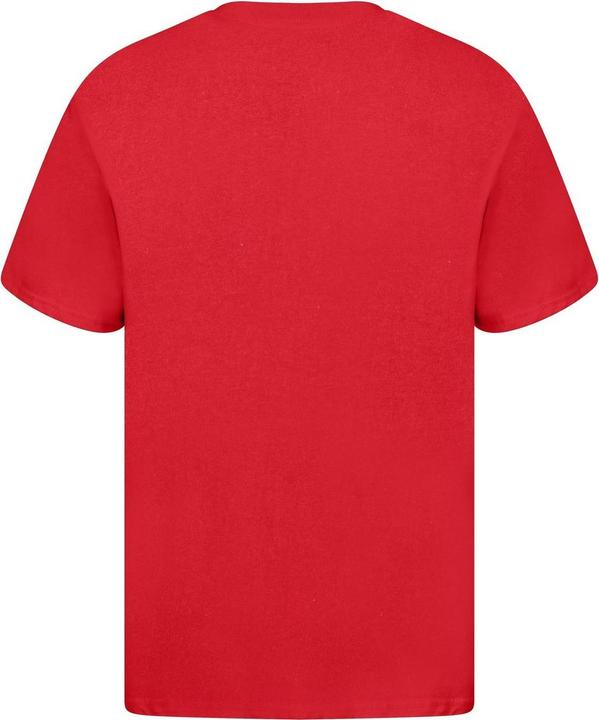 Produktbild Universal Textiles TShirt Baumwolle aus biologischem Anbau (L)