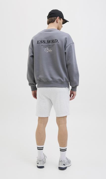 Image du produit Jack & Jones Regular Fit Regular Fit Shorts Regular Fit Shorts (XS)