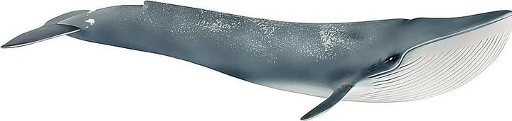 Image du produit Schleich Baleine bleue à pattes
