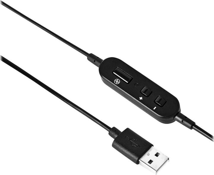 Actual product image V7 Essentials USB Stereo Headset (Cable, USB-A)