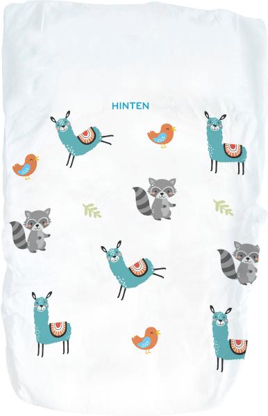 Actual product image dm babylove Premium-Windeln (Size 5)