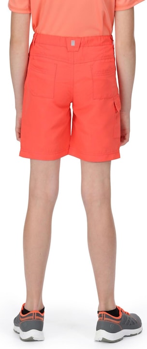 Actual product image Regatta Sorcer Ii Shorts (140)