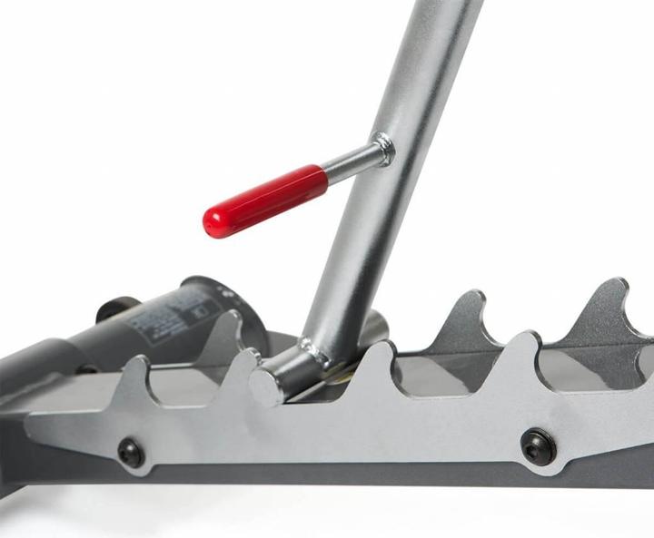 Actual product image Inspire Fitness bench SCSWB2B