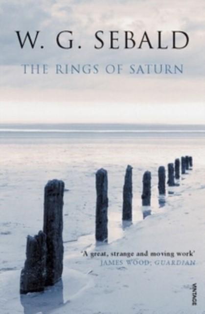 Produktbild The Rings of Saturn (Englisch, W. G. Sebald, 2002)