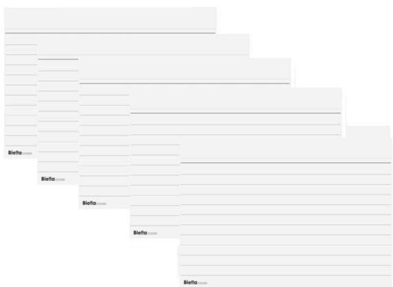 Actual product image Biella Lines (A7, 100x, 200 g/m²)