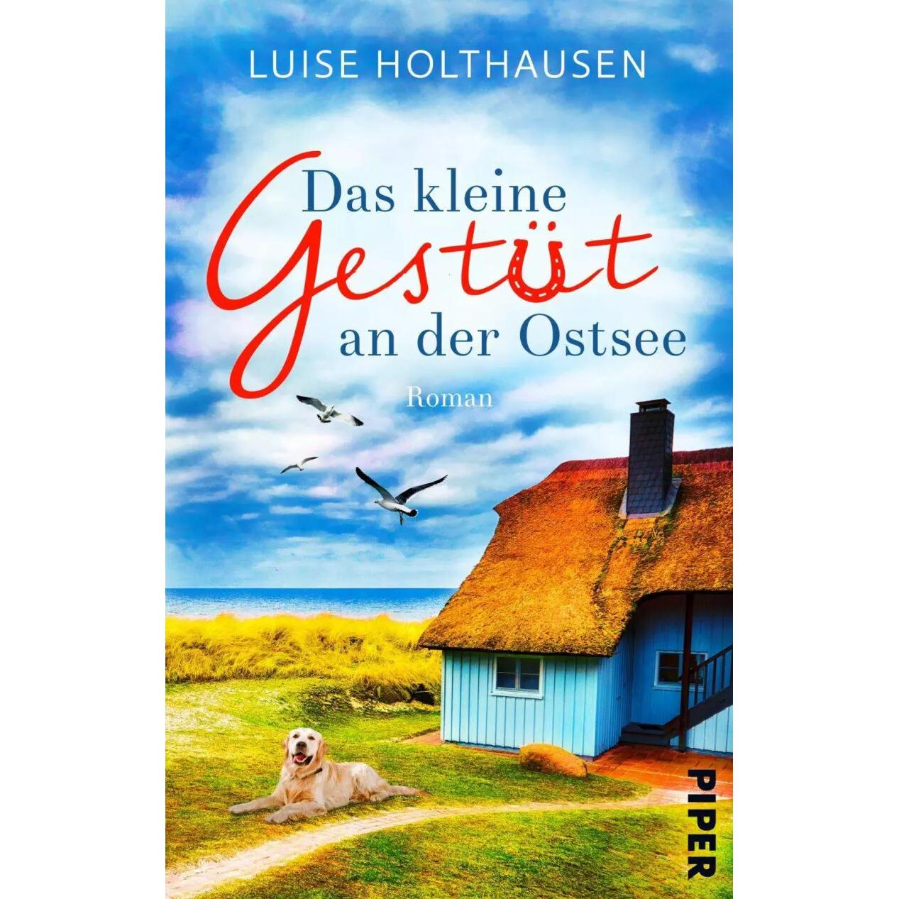 Das kleine Gestüt an der Ostsee, Belletristik von Luise Holthausen