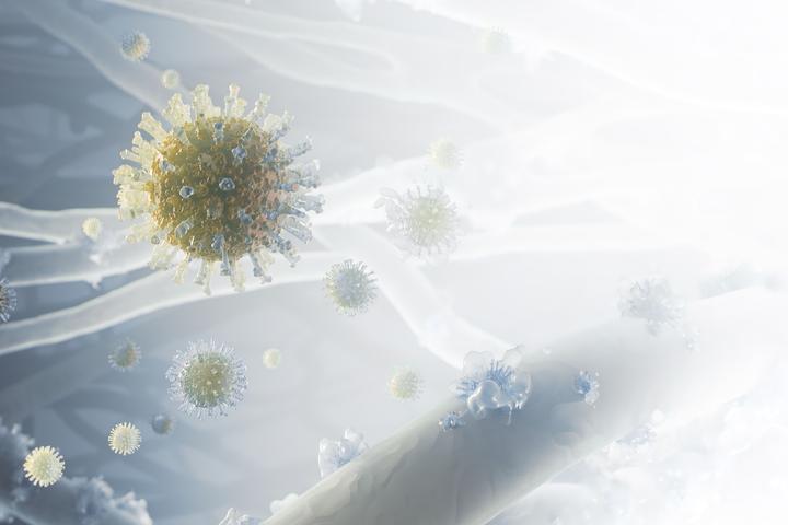 Produktbild Electrolux BREEZE Complete air filter (1x)