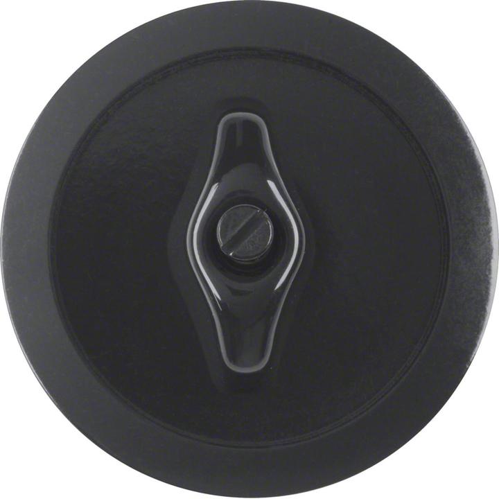 Produktbild Berker Zentralstück