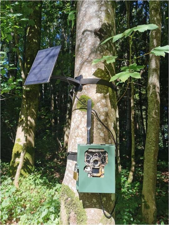 Actual product image Reviermanager Solar panel 6.7V / 3.6W