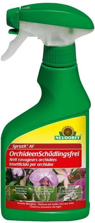 Actual product image Neudorff Spruzit AF Orchid Pest Control (Flora)