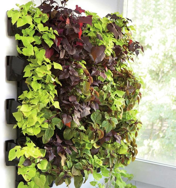 Image du produit Aquael 114257 Accessoires pour bassins et fontaines de jardin