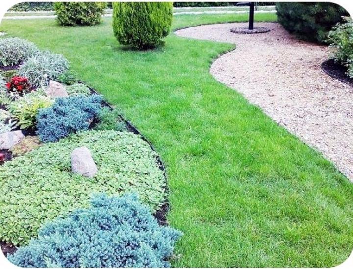 Actual product image Green Split Plastic lawn edging tape 15cm x 6m (600 cm)