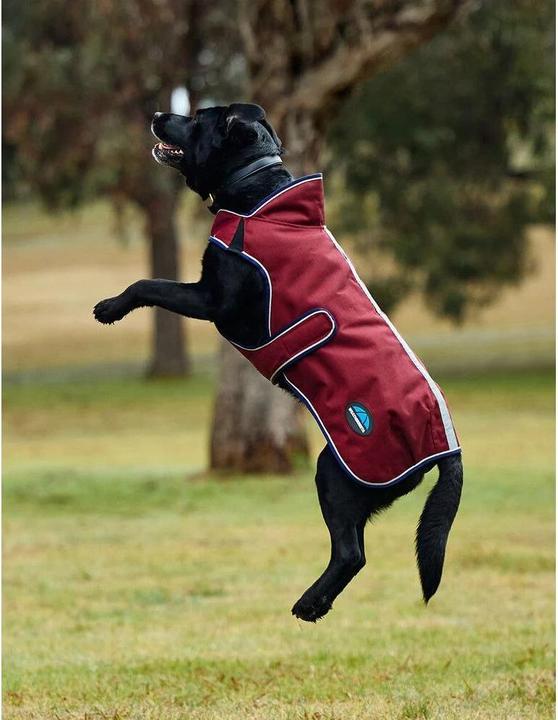 Produktbild Weatherbeeta Comfitec Premier Deluxe (Hunderegenmantel)