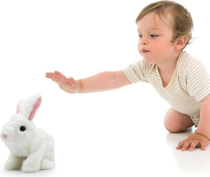 Actual product image Pugs at play Toy Jumping Rabbit Pap10 (67.50 cm)