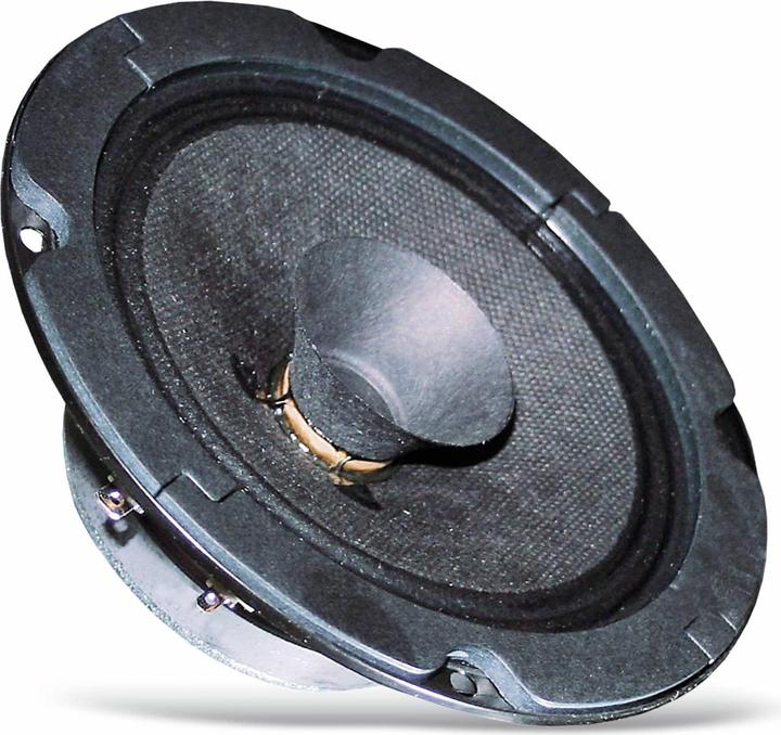 Visaton Altoparlante a gamma completa BG 13 P, 8 Ohm