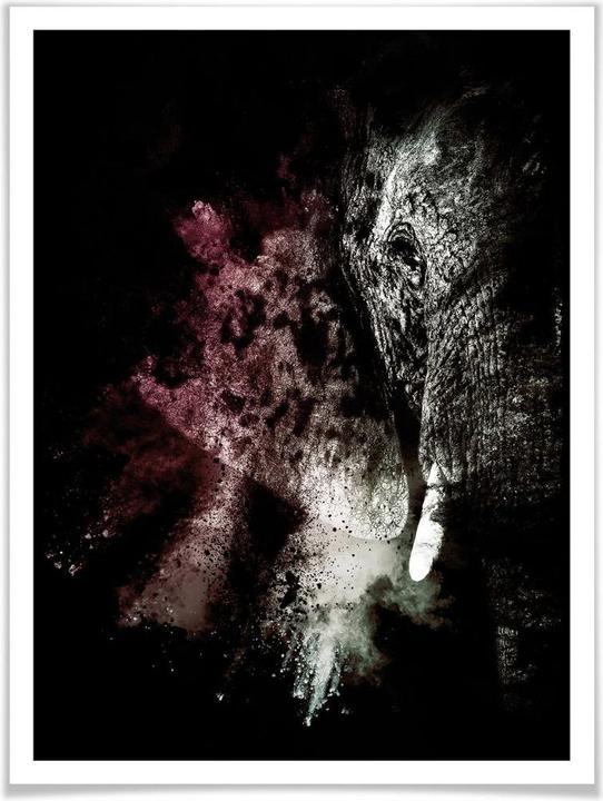 Image du produit Trenddeko Explosion sauvage : Elephant 02 (24 x 30 cm)