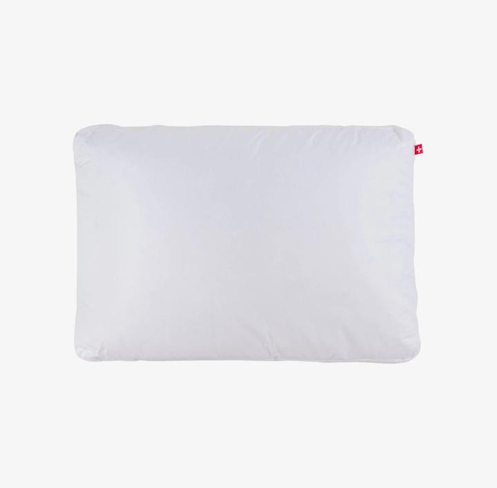 Immagine prodotto Dauny Cuscino SOFT BOX PLUS (65 x 100 cm)