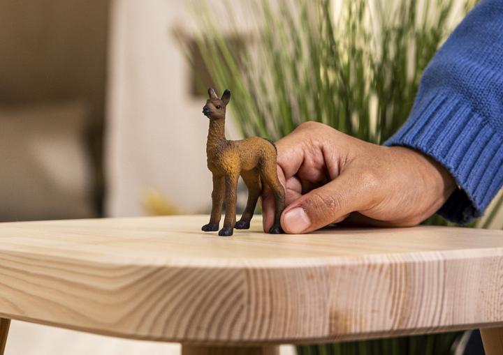 Image du produit Schleich Poulain de lama