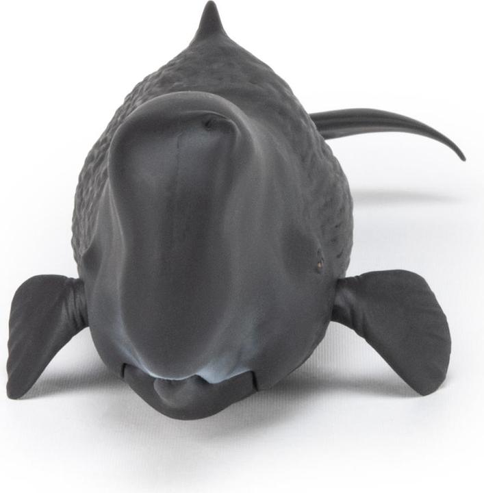 Produktbild Papo Pottwal